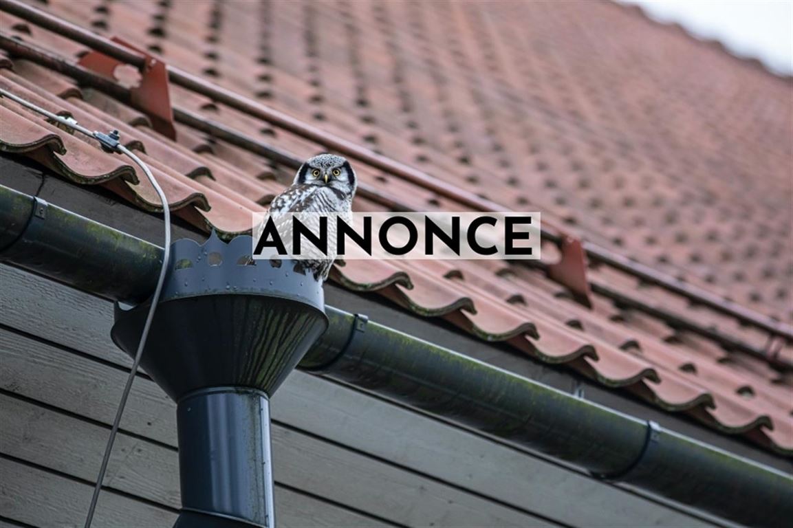 Er det på tide at opgradere din tagrende?