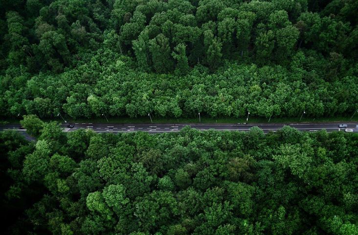 3 fordele ved en jagttrøje i god kvalitet
